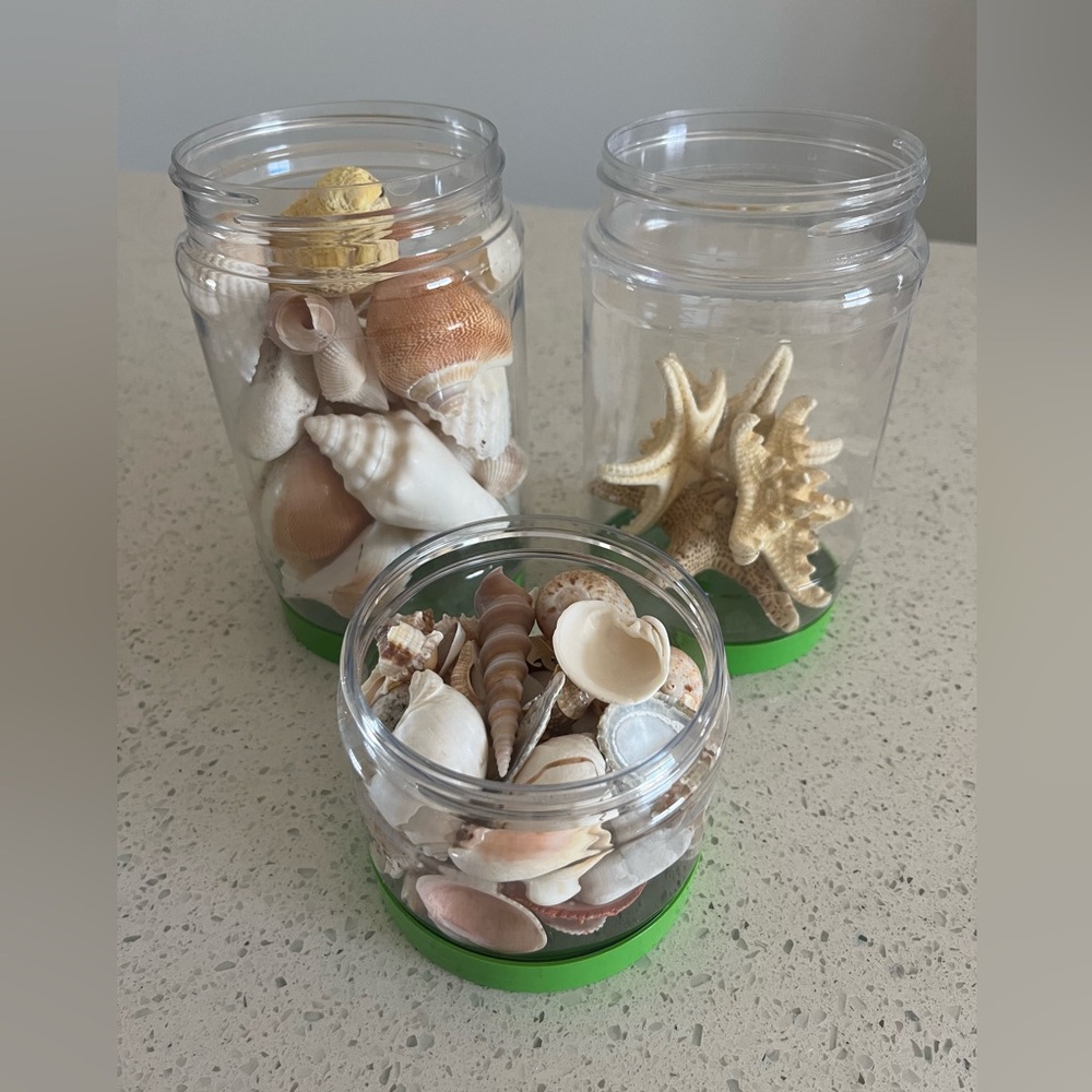 Seaside Shell and Starfish Jar Set with Green Base